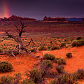 Light Of The Desert