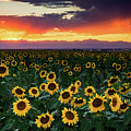Sunset In Colorado Is Paradise
