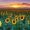 Summer Romance
